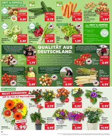 Schnittblumen im Kaufland Prospekt "Aktuelle Angebote" mit 28 Seiten (Dresden)