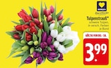 Aktuelles Tulpenstrauß Angebot bei EDEKA in Ingolstadt ab 3,99 €