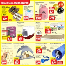 Damen Unterhose Angebot im aktuellen Thomas Philipps Prospekt auf Seite 20