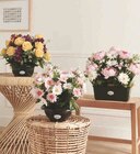 COUPE D'HORTENSIAS ET ROSES  dans le catalogue Hyper U