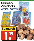 Blumen-Zwiebeln Angebote bei Wreesmann Görlitz für 1,29 €