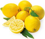 Bio Zitronen Angebote von REWE BIO bei REWE Laatzen für 0,99 €