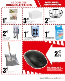 Offre Outils De Jardin dans le catalogue Carrefour du moment à la page 17