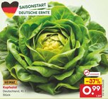Aktuelle Salat Angebote bei Netto Marken-Discount in Mannheim Aktuelles Kopfsalat Angebot bei Netto Marken-Discount in Mannheim ab 0,99 €