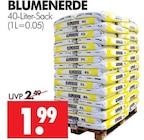 Wreesmann Meißen - Blumenerde Angebot im Prospekt Blumenerde bei Wreesmann im Meißen Prospekt für 1,99 €