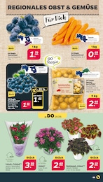 Garten im Netto mit dem Scottie Prospekt Günstig. Besser. Für Dich. auf S. 3