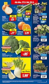 Aktueller Lidl Prospekt mit Blumen, "LIDL LOHNT SICH", Seite 3