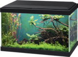 AQUARIUM CLASSIC NOIR + FILTRE CF40 - 20L - Ciano en promo chez Animalis AQUARIUM CLASSIC NOIR + FILTRE CF40 - 20L - Ciano dans le catalogue Animalis