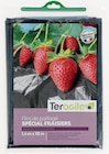 Promo Film de paillage spécial fraisiers à 4,30 € dans le catalogue Point Vert à Cadours