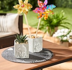 Rund um Balkon und Garten Angebote bei REWE Halle für 2,00 €
