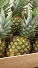 Promo Ananas à 1,49 € dans le catalogue Intermarché à Tarascon