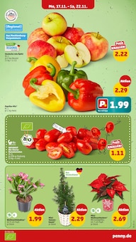 Tomaten im Penny Prospekt "Wer günstig will, muss Penny." mit 48 Seiten (Rostock)