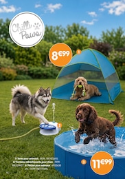 Prix et réduction Tente dans le prospectus B&M en cours Offre Tente dans le catalogue B&M du moment à la page 10