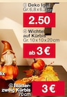 Aktuelles Herbstdeko Angebot bei Woolworth in Rostock ab 2,50 €