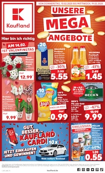 Aktueller Kaufland Prospekt "UNSERE MEGA ANGEBOTE" Seite 1 von 50 Seiten für Paderborn