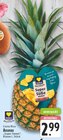 Ananas im Angebot bei EDEKA in Paderborn Ananas Angebote von EDEKA bei EDEKA Paderborn für 2,99 €