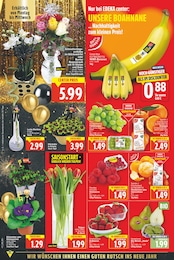 Ananas Angebot im aktuellen E center Prospekt auf Seite 4