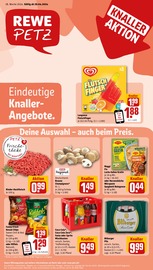 Ähnliche Angebote wie Diebels im Prospekt "Dein Markt" auf Seite 3 von REWE in Bornheim