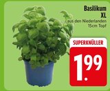 Basilikum XL im Angebot bei EDEKA in Ravensburg Basilikum XL Angebote bei EDEKA Ravensburg für 1,99 €