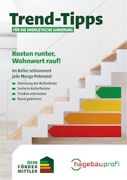 Raiffeisen Baustoffe Prospekt für Gießen: "Trend-Tipps FÜR DIE ENERGETISCHE SANIERUNG", 13 Seiten, 14.02.2025 - 23.02.2025