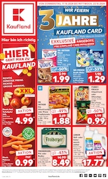 Aktueller Kaufland Supermärkte Prospekt für Neukieritzsch: Aktuelle Angebote mit 56} Seiten, 17.10.2024 - 23.10.2024