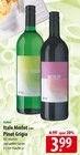 Italo Merlot im Angebot bei famila Nordost in Gifhorn Italo Merlot Angebote von Vino D'Italia bei famila Nordost Gifhorn für 3,99 €