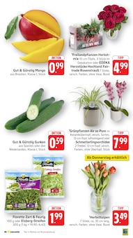 Salat im aktuellen EDEKA Prospekt (Frankfurt (Main)) Salat im EDEKA Prospekt "Aktuelle Angebote" mit 52 Seiten (Frankfurt (Main))