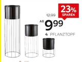 Pflanztopf Angebote von Ambia Home bei XXXLutz Möbelhäuser Singen für 9,99 €