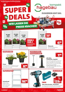 Bohrmaschine im hagebau kompakt Prospekt "SUPER DEALS" mit 8 Seiten (Osnabrück)