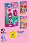 Promo Crée tes fleurs à 4,40 € dans le catalogue E.Leclerc à Vienne
