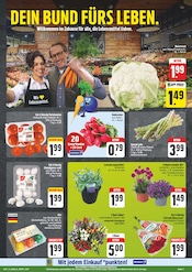 Aktueller EDEKA Prospekt mit Blumenkohl, "Wir lieben Lebensmittel!", Seite 7