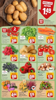 Kürbis im REWE Prospekt "Dein Markt" mit 14 Seiten (Frankfurt (Main))