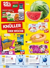 Coca Cola im Netto Marken-Discount Prospekt in Hof Aktueller Netto Marken-Discount Prospekt mit Coca Cola, "Aktuelle Angebote", Seite 8