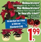 Weihnachtsstern, Mini-Weihnachtsstern, 1er Amaryllis-Schnitt bei EDEKA im Prospekt "" für 1,99 €