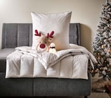 Ganzjahresbett im Angebot bei XXXLutz in Lippstadt Ganzjahresbett Angebote von Centa-Star bei XXXLutz Lippstadt für 19,99 €