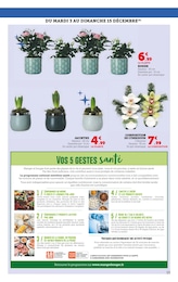 Offre Plante D'intérieur dans le catalogue Super U du moment à la page 13