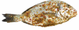Grill-Dorade-Royal im Netto Marken-Discount Prospekt Grill-Dorade-Royal im aktuellen Netto Marken-Discount Prospekt für 1,39 €
