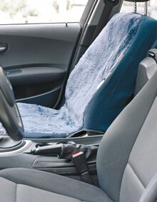 Autositzbezug* bei NETTO mit dem Scottie in Falkensee Autositzbezug* im Angebot bei NETTO mit dem Scottie Falkensee für 25,99 €