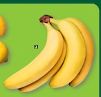 Promo Bananes à 0,99 € dans le catalogue Aldi à Houplines