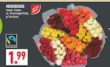 Moosrosen Angebote bei Marktkauf Dülmen für 1,99 €