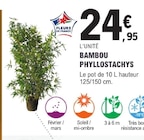 Promo Bambou Phyllostachys à 24,95 € dans le catalogue E.Leclerc à Bruges