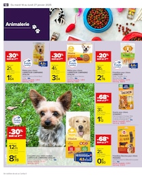 Offre Croquettes Chien dans le catalogue Carrefour du moment à la page 54