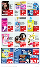 Felix Katzenfutter im Kaufland Prospekt in Frechen Aktueller Kaufland Prospekt mit Felix Katzenfutter, "Aktuelle Angebote", Seite 29