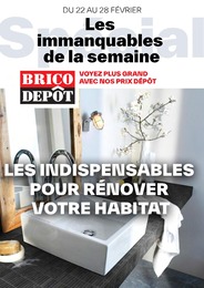 Catalogue Brico Dépôt "Les immanquables de la semaine" à Le Plessis-Trévise et alentours, 1 page, 22/02/2024 - 28/02/2024