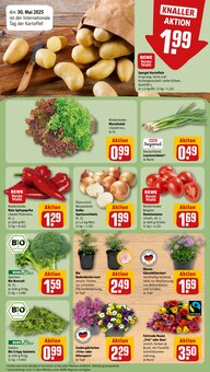 Spargel im aktuellen REWE Prospekt (Bielefeld) Spargel im REWE Prospekt "Dein Markt" mit 32 Seiten (Bielefeld)