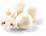 Champignons weiß im Angebot bei Netto Marken-Discount in Würzburg Champignons weiß Angebote bei Netto Marken-Discount Würzburg für 1,49 €