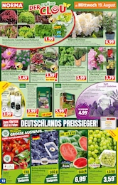 Norma Kerzen im Prospekt Norma Kerzen im Prospekt