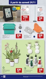 Offre Plante Succulente dans le catalogue Aldi du moment à la page 52