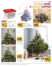 Sapin Nordmann Angebote im Prospekt "JOYEUX NOËL & MEILLEURS PRIX" von Carrefour auf Seite 89