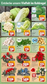 Blumenkohl im REWE Prospekt in Nürnberg Aktueller REWE Prospekt mit Blumenkohl, "Dein Markt", Seite 7